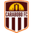 Team Crest