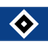 HSV